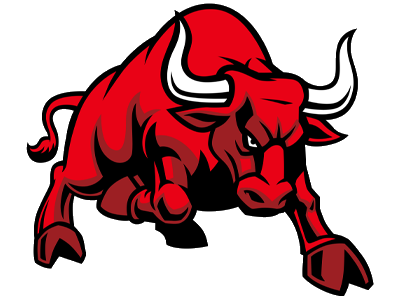 Bulls Bail Bonds Logo
